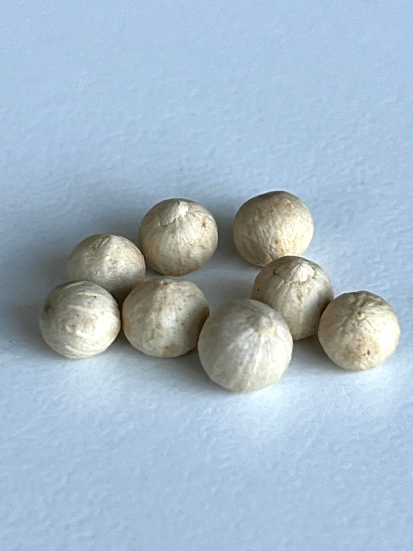 Poivre blanc de Sarawak