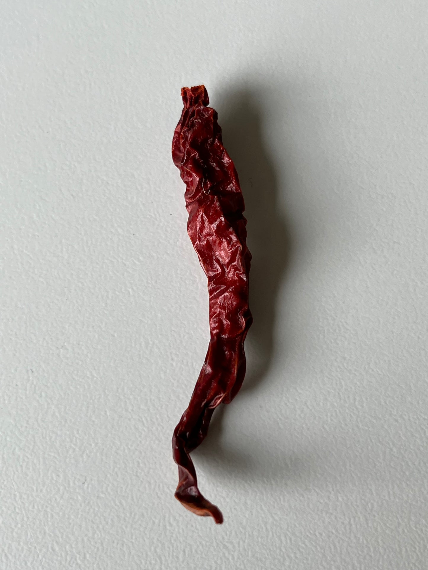 Piment Cabe Keriting
