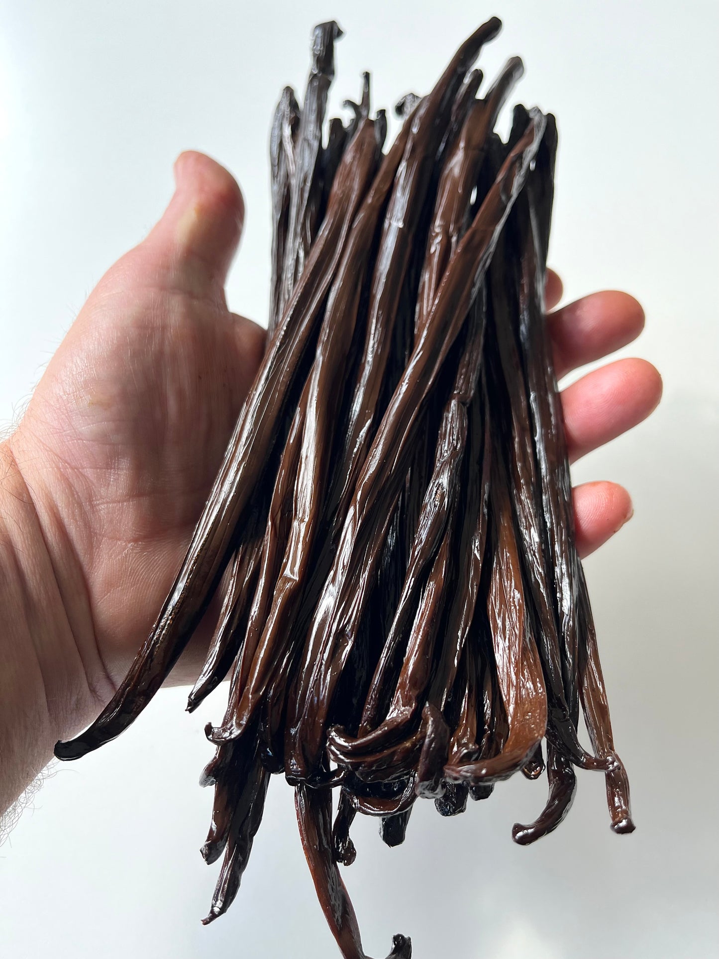 1 Gousse de vanille planifolia premium de Sulawesi