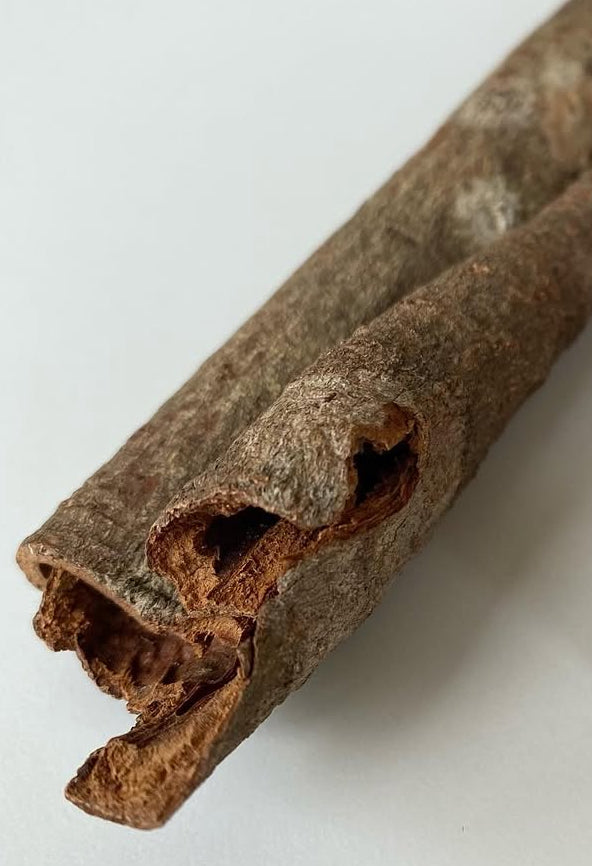 Cannelle cassia non grattée