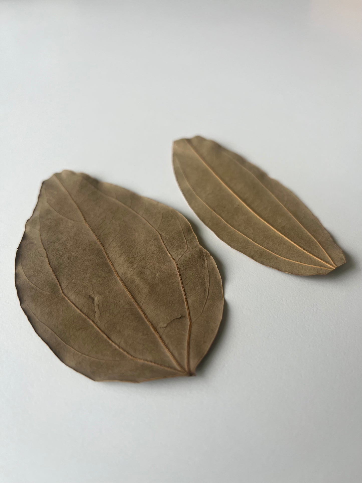Feuilles de cannelier Tamala sauvage