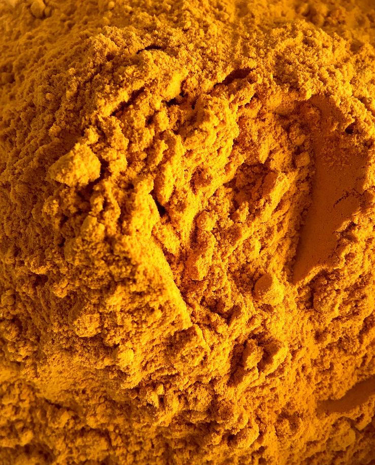 Curcuma longa en poudre