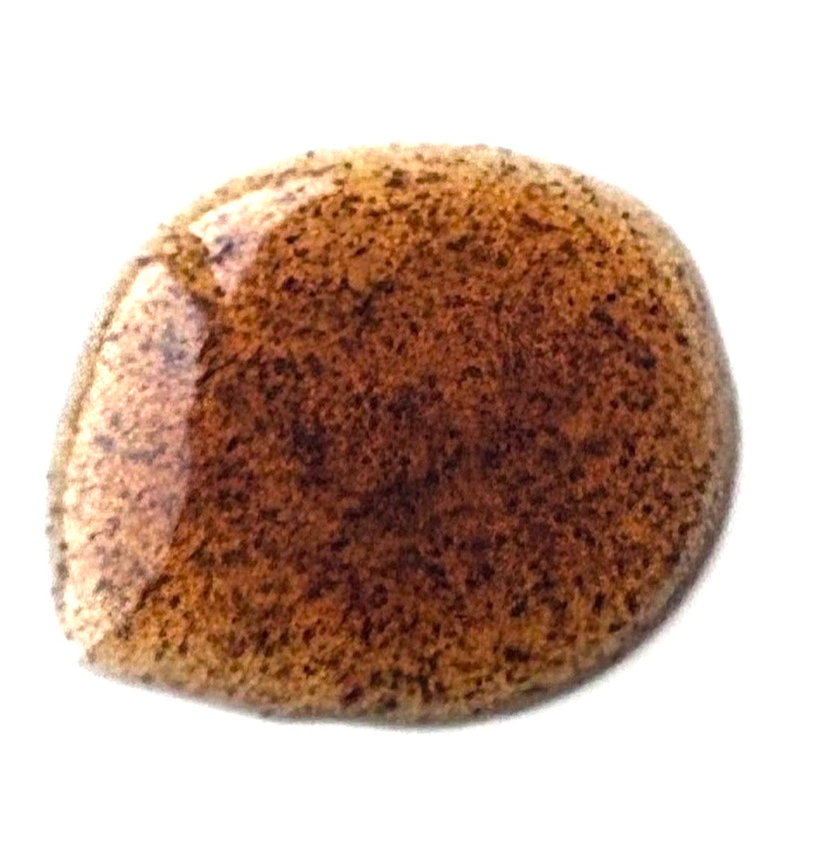 1 kg de pâte premium naturelle de gousses vanilles