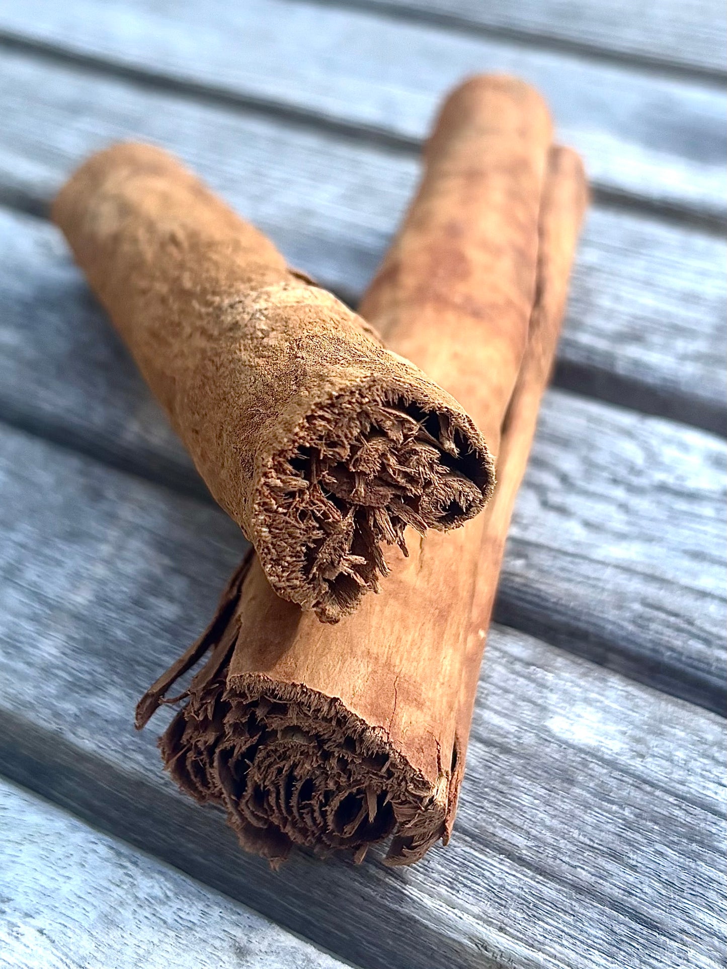 Cannelle de Ceylan sauvage en bâton