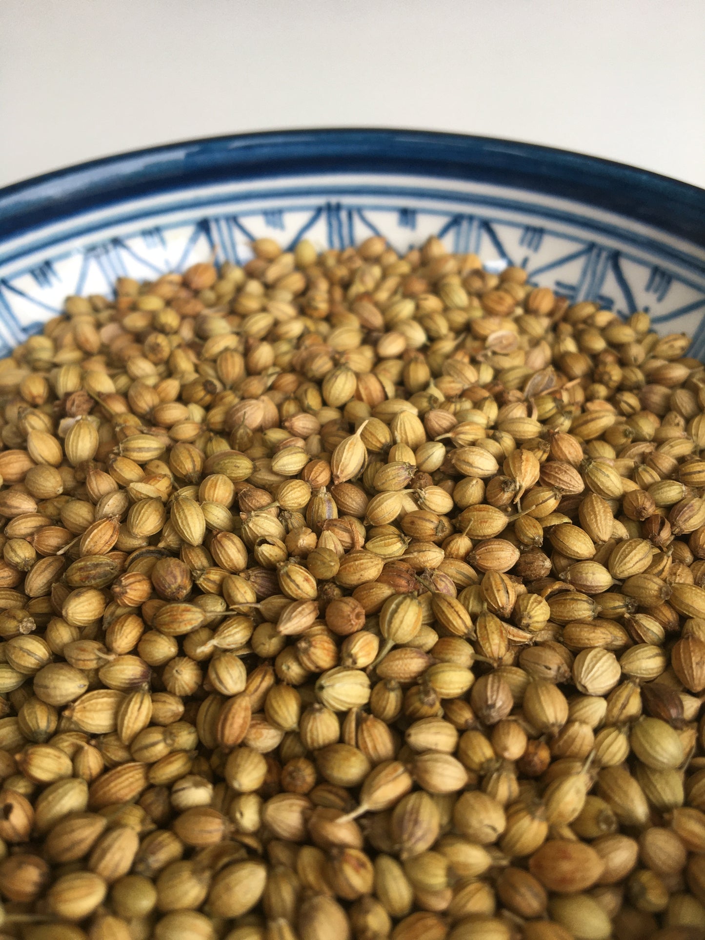 Graines de coriandre